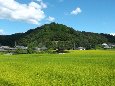 砂防基礎調査風景